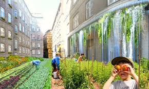 Urban Gardening: Menghijaukan Kota dengan Kebun di Rumah