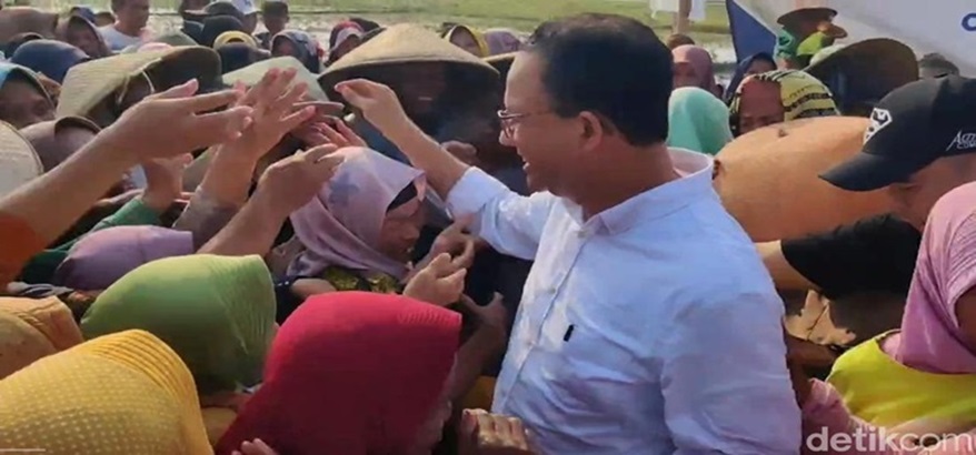 Contract Farming Menjadi Solusi Anies Untuk Menyelesaikan Masalah Program Food Estate