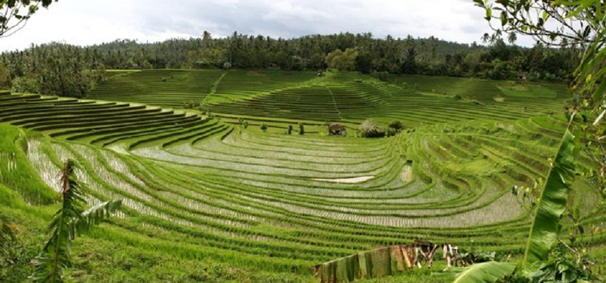 3 Objek Wisata Unik Di Kabupaten Buleleng Bali